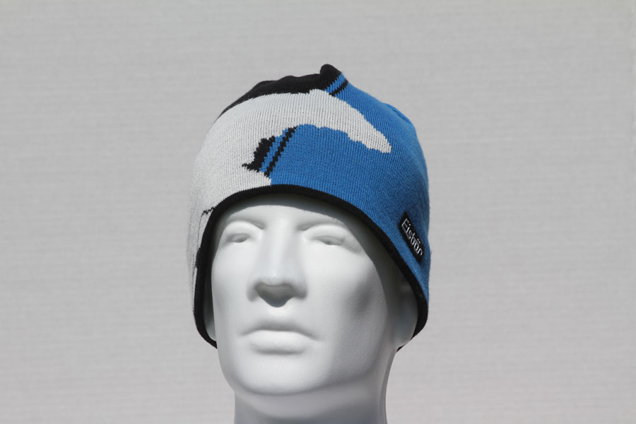 Polar Bear Blue Hat